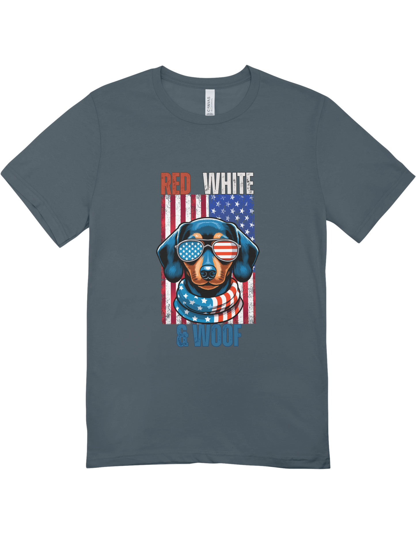 4th of July Dog Tee